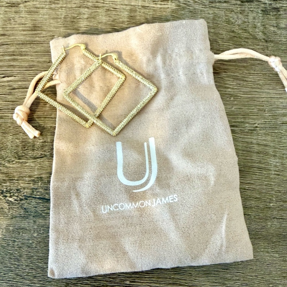 Uncommon James Geometric Hoop Earrings ✨